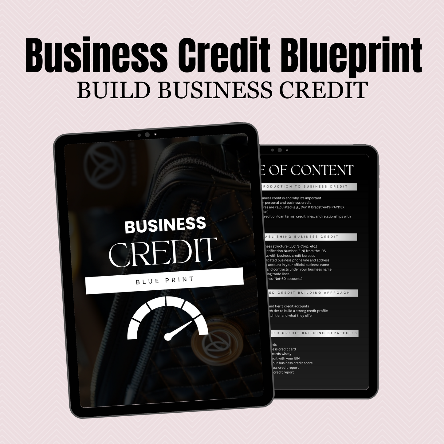 Business Credit | Financial Literacy | PLR Private Label Rights