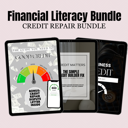 Financial Literacy Bundle | Credit Building | PLR